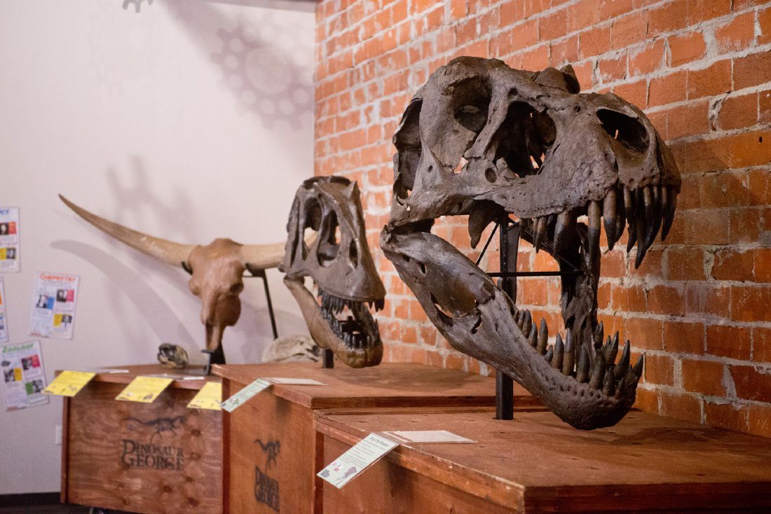Dinosaurs exhibit at LongviewWOW takes youngsters back in time